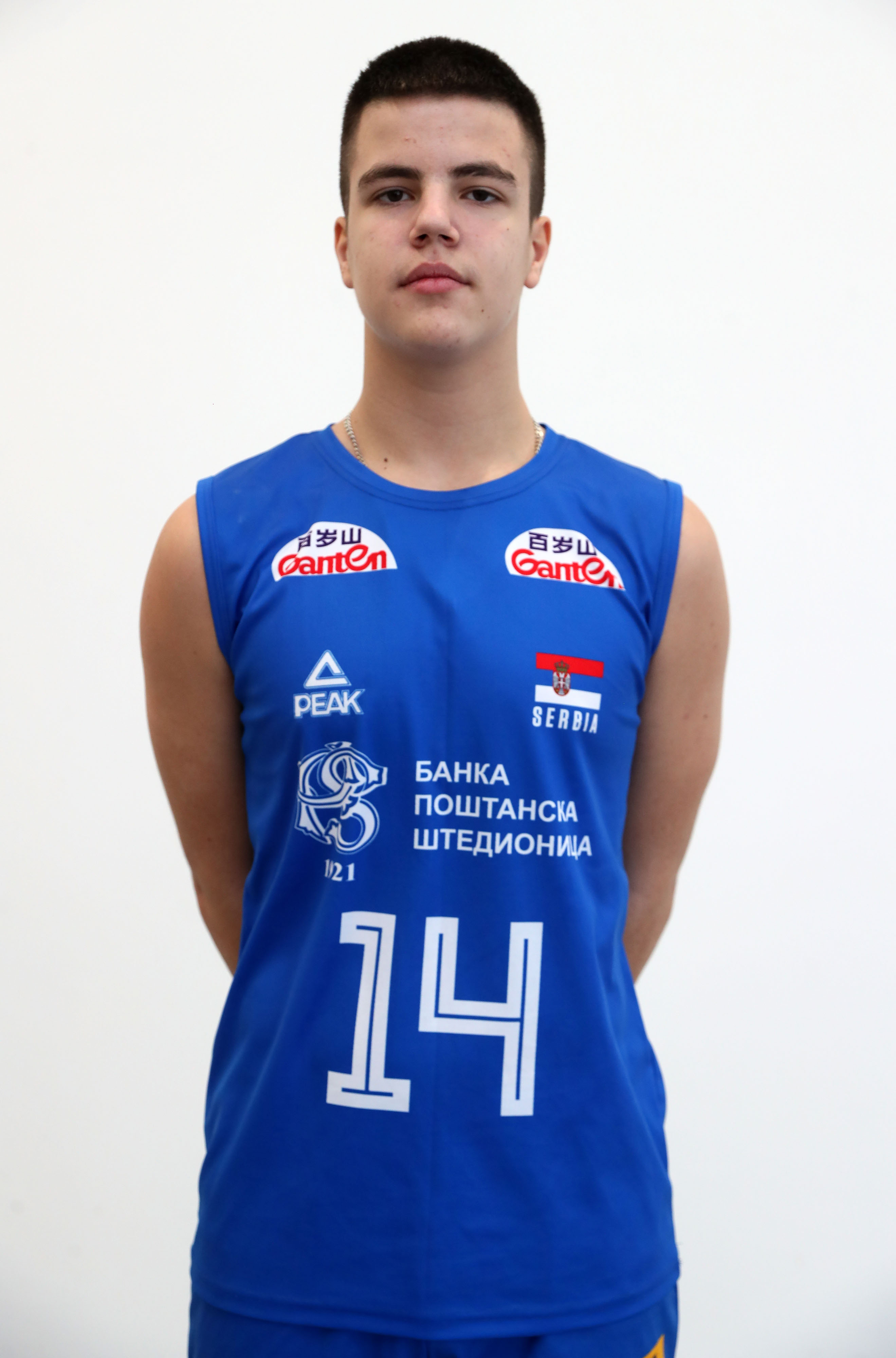 Aleksa Rajčić